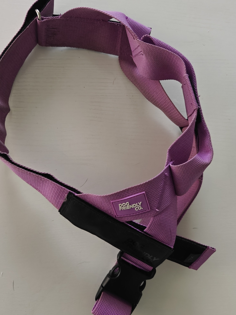 Dog Friendly Co. XL Purple No-Pull Dog Harness